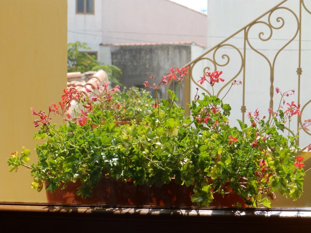 Sa Chessa B&B Ploaghe Buitenkant foto