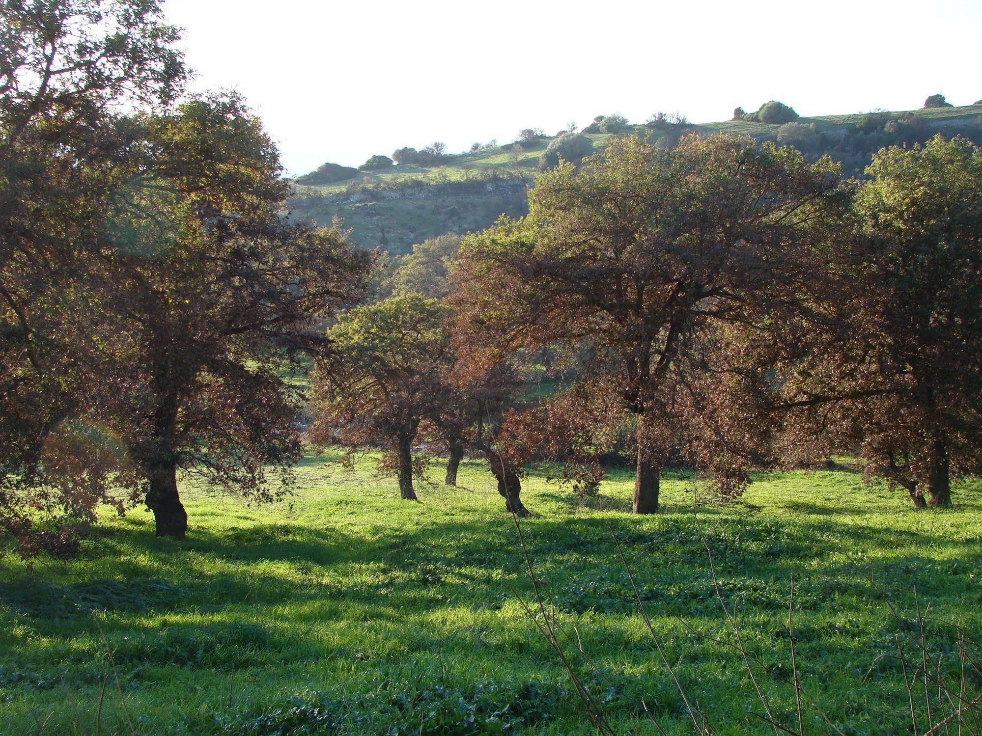 Sa Chessa B&B Ploaghe Buitenkant foto